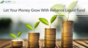 Let Your Money Grow With Reliance Liquid Fund